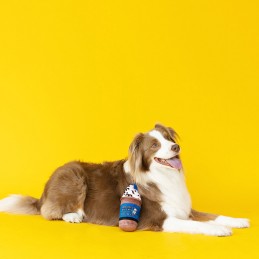 PetShop by Fringe Studio - Drool Bucks | dog toys wholesale