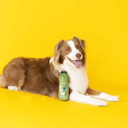 PetShop by Fringe Studio - Raw Paw Pressed Juice | Hondenspeelgoed groothandel