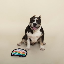 PetShop by Fringe Studio - Piece of Cake | Wholesale Dog Toys