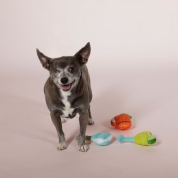 PetShop by Fringe Studio - set Cocktails | Juguetes para perros y mascotas por mayor