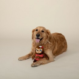PetShop by Fringe Studio - Bikini Sloth | Wholesale Dog Toys