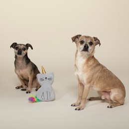 PetShop by Fringe Studio - Caticorn | Vente en gros Jouets pour chiens