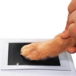 Druckpad 'Paws' | Pfotenabdruck Hund herstellen