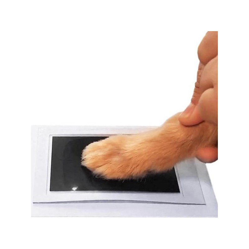 Druckpad 'Paws' | Pfotenabdruck Hund herstellen
